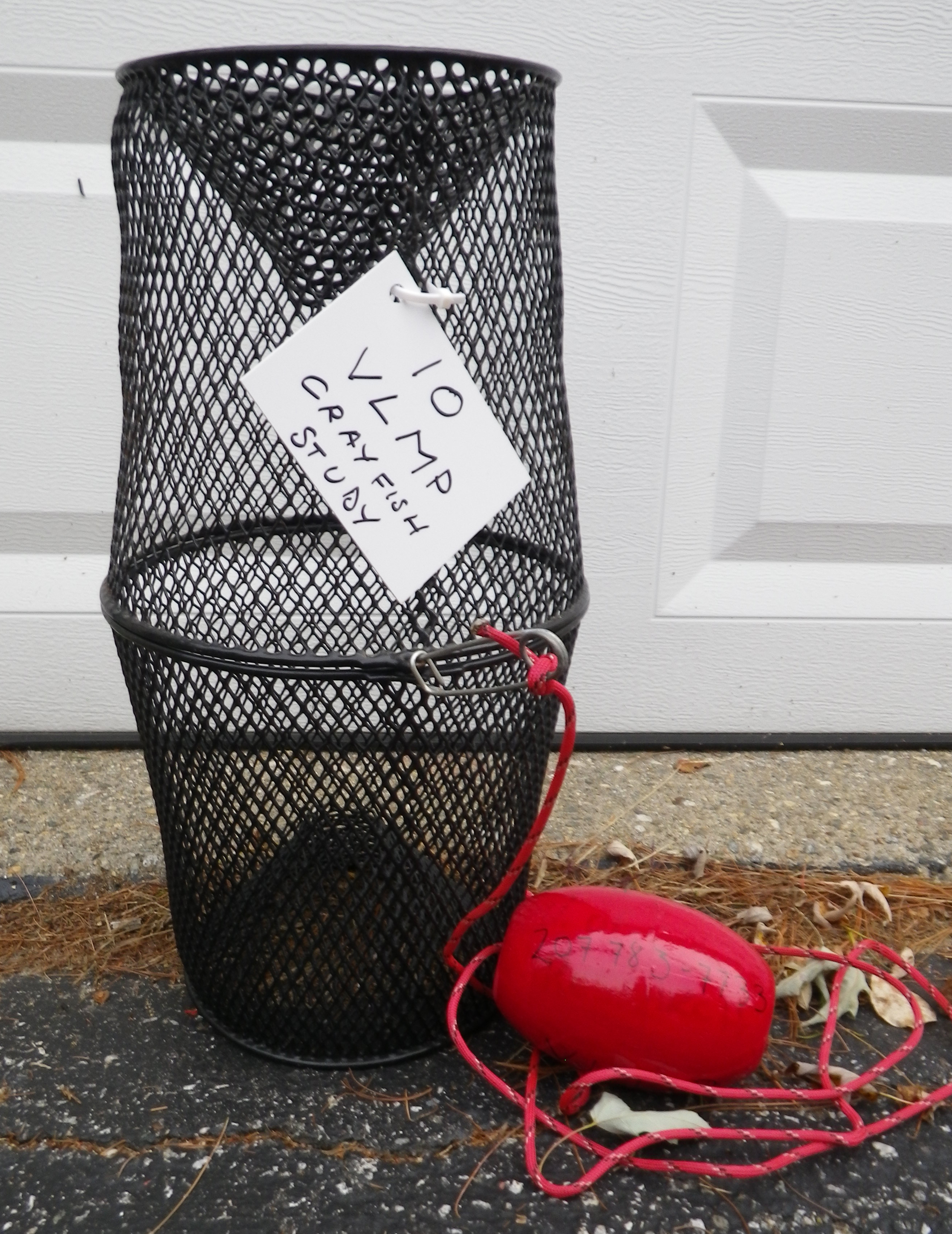 Crayfish Maine Volunteer Lake Monitoring Program