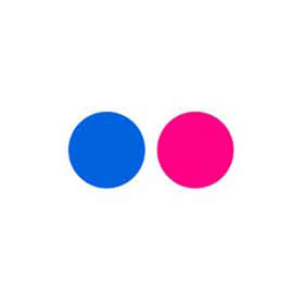 Flickr icon